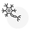 Nerve transfers